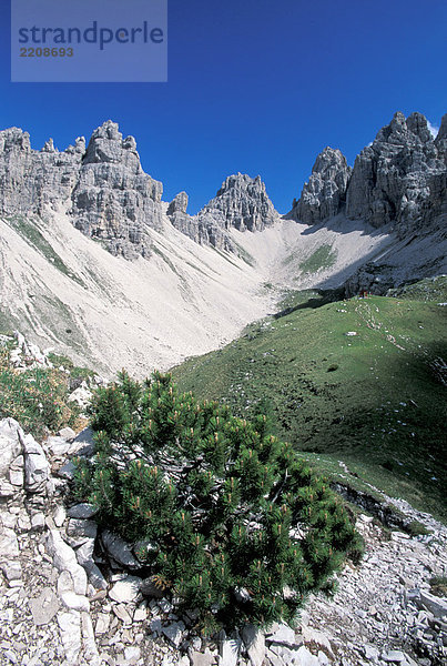 Friuli  Dolomites Regional Park  Forcella Montanaia