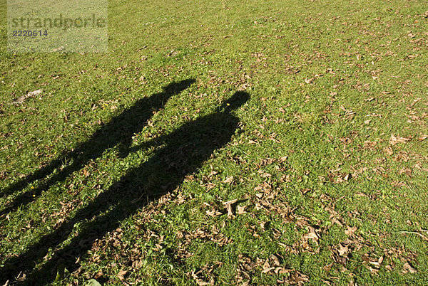 Schatten gegen Gras