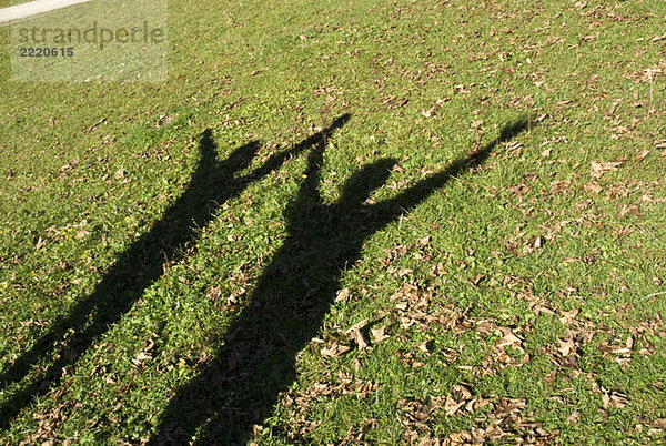 Schatten gegen Gras