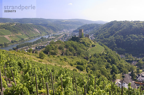 Weingut auf Hügel  Mosel  Niederburg  Deutschland