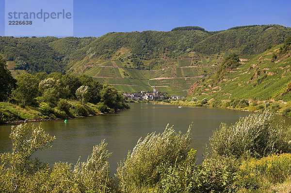 River durch hügelige Landschaft  Mosel  Bremm  Rheinland-Pfalz  Deutschland