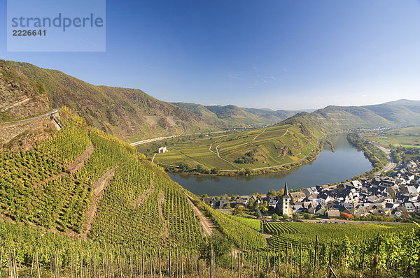 Luftbild der Stadt am Flußufer  Fluss Moselle  Deutschland