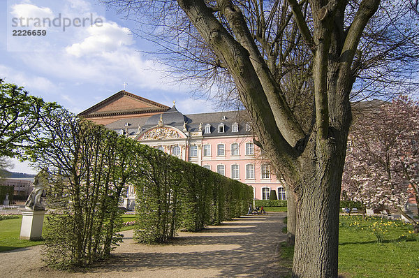 Bäume in Zeile entlang des Palastes  Kurfuerstliches Palais  Trier  Deutschland