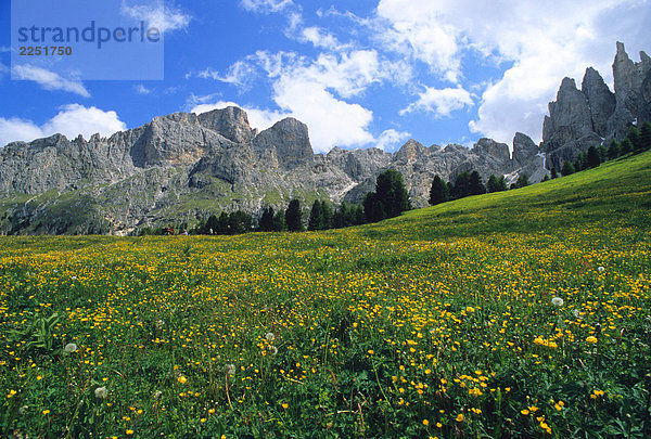 Alto Adige  Rosengarten-Latemar  Niger Pass