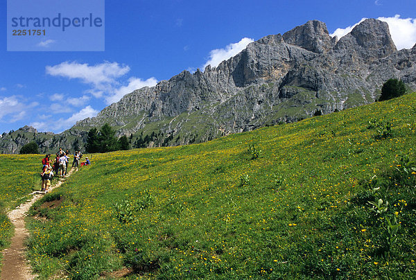 Alto Adige  Rosengarten-Latemar  Niger Pass