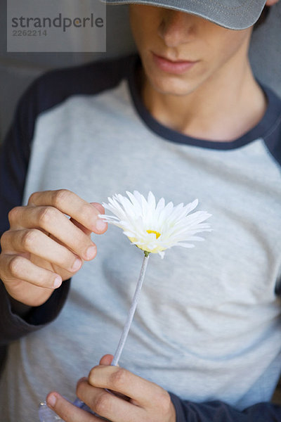 Junger Mann pflückt Blütenblätter aus der Blüte  Schnittansicht