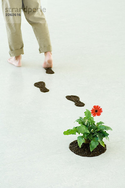 Der Mensch hinterlässt Spuren von Erde  während er an der Blume vorbeiläuft.
