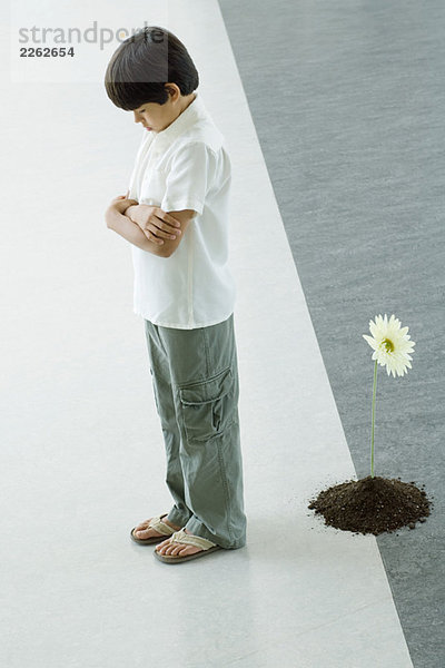 Junge stehend mit Rücken zur Blüte gedreht