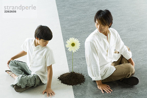 Junge und Mann sitzen Rücken an Rücken und schauen über die Schultern auf eine einzelne Blume zwischen ihnen.