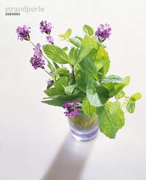 Kräutersträusschen mit Lavendelblüten im Glas