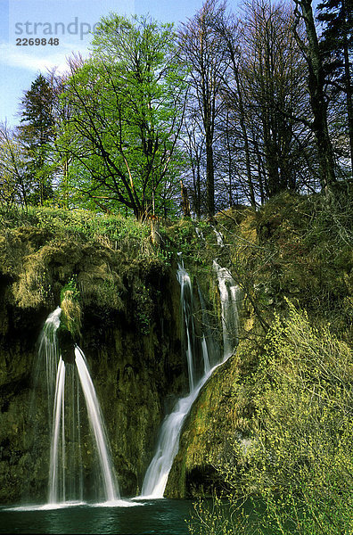Kroatien  Nationalpark Plitwitzer Seen  World Heritage  Starten des Frühlings