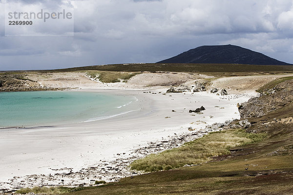Falkland-Inseln. Pebble Island. der Nordwestküste