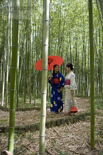 Zwei Frauen mit Kimonos  die durch einen Bambushain gehen.