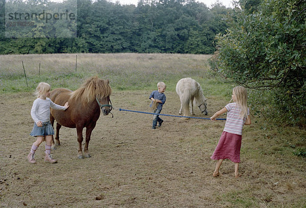 Kinder auf einem Feld mit zwei Pferden