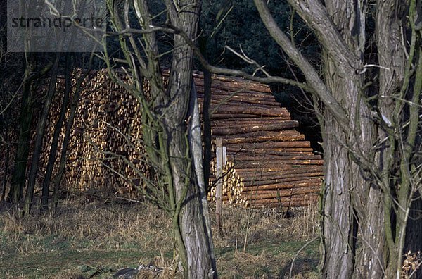 Gestapelte Stämme in Deutschland