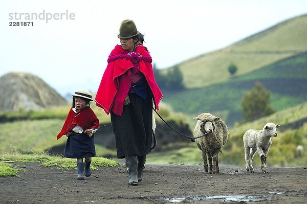 Ecuador  Mutter und Kind mit Schafe