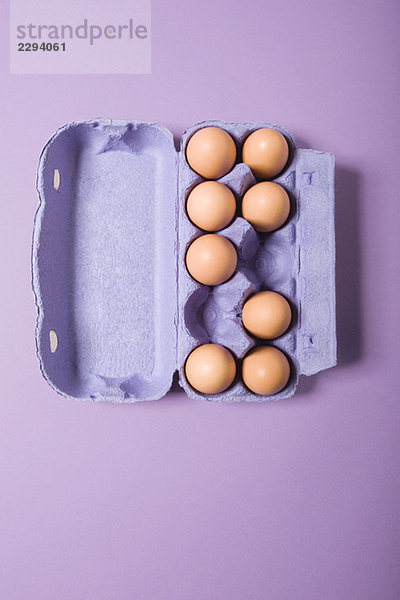 Braune Eier im violetten Eierkarton  erhöhte Ansicht