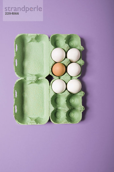 Fünf weiße und ein braunes Ei in einer Eierschachtel  elavated view