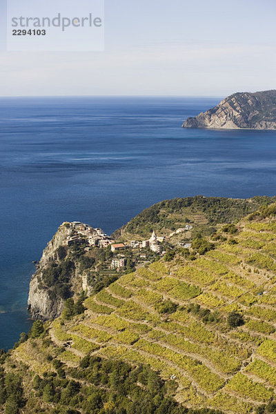 Italy  Liguria  Corniglia  Coast area