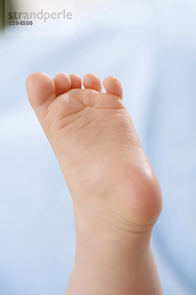 Baby-Fuß  niedriger Abschnitt (3-6 Monate)  Nahaufnahme