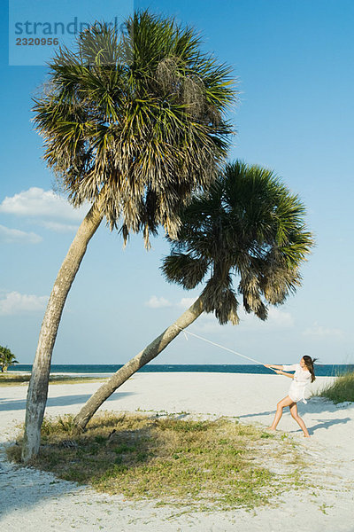 Weibchen am Strand  Zugseil an Palme gebunden  Mitteldistanz