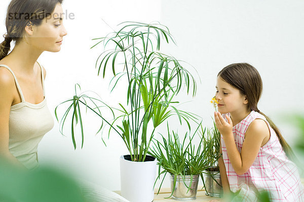 Mädchen riecht Blumenzweig  während Mutter zuschaut