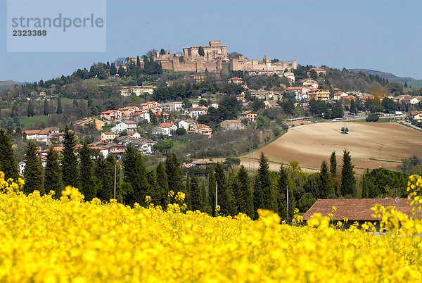 Italien  Marche  Gradara  Landschaft