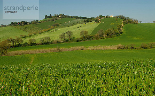 Italien  Marche  Conero  Landschaft