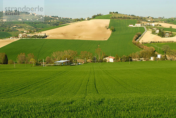 Italien  Marche  Landschaft