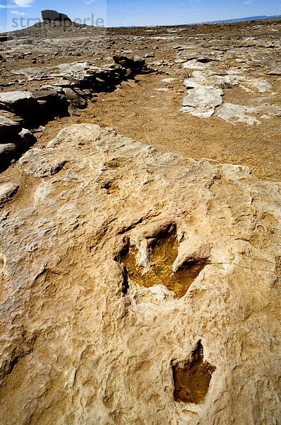 USA  Arizona  Tuba Stadt  Dinosaurier Trail  footprints