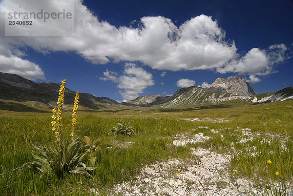 Italien  Abruzzo  Campo Imperatore Plain. Im Hintergrund die Corno Grande Mount  Gran Sasso  Monti della Laga Nationalpark