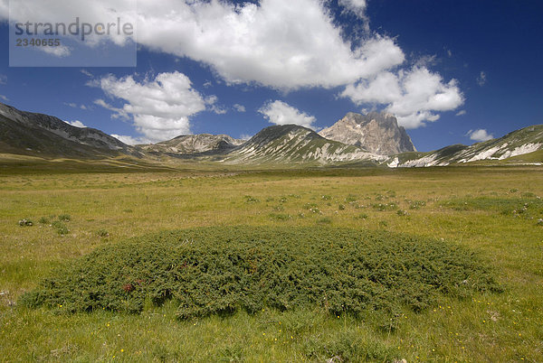 Italien  Abruzzo  Campo Imperatore Plain. Im Hintergrund die Corno Grande mounten  Gran Sasso und Monti della Laga-Nationalpark