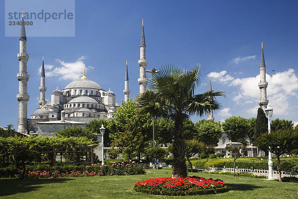 Istanbul  Türkei Sultanhamet Moschee  Blaue Moschee