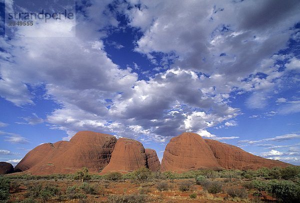 Australien  Olgas Berge  Uluru Nationalpark