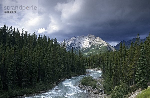 Kanada  Rocky Mountains  Alberta  Jasper  Medicine Lake