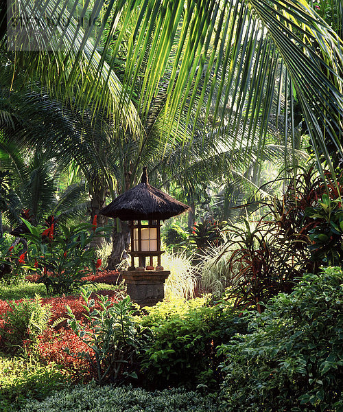 Indonesien  Bali  tropischen Garten