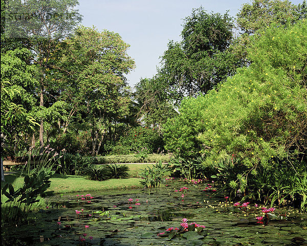 Thailand  tropischen Garten