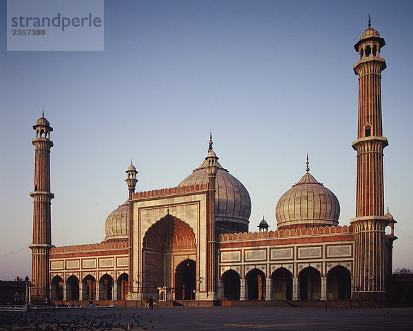 Jama Masjid  Delhi  Indien