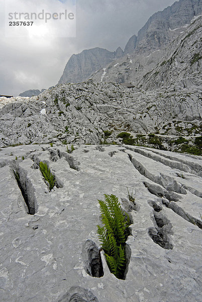 Italien  Friuli Venezia Giulia  Giulie Alpen  Erosion Felsformationen