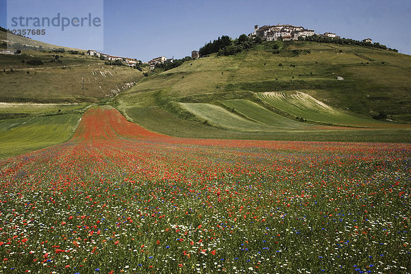 Italien  Umbrien  Castelluccio di Norcia  Monti Sibillini Nationalpark: Blick auf das Dorf