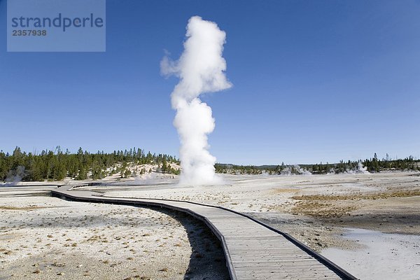 USA  Wyoming  Yellowstone National Park  Norris Geysir-Becken