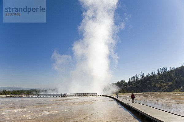 USA  Wyoming  Yellowstone National Park  Midway Geyser Basin  Grand Prismatic Spring