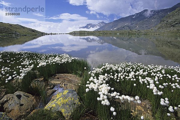 Italien  Trentino Alto Adige  Nationalpark des Stilfserjochs  Sternai See