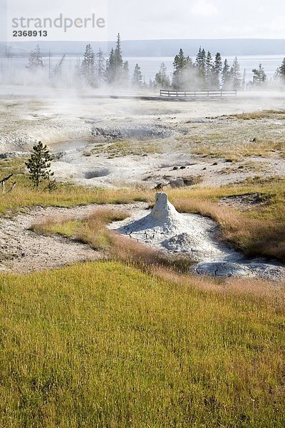 USA  Wyoming  Yellowstone National Park  West Daumen-Einzugsgebiet