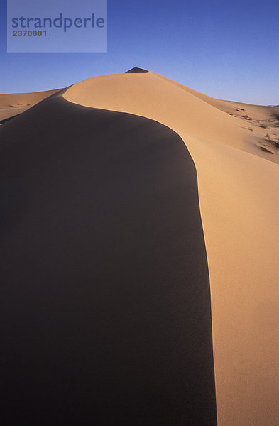 Sahara Algerien