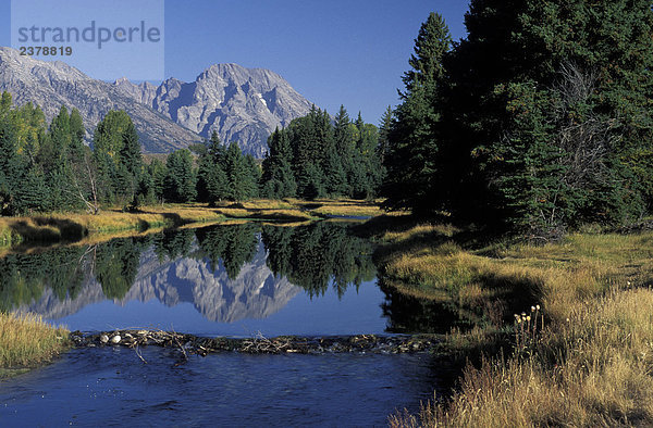 USA  Wyoming  Grand Teton National Park  Snake River