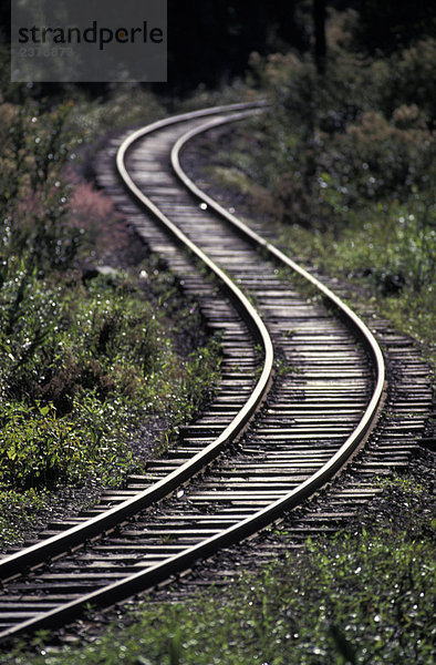 Südamerika  Brasilien  Parana  Antonina City  railway