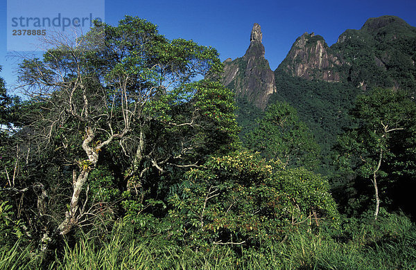 Brasilien: Sierra Dos Órgãos