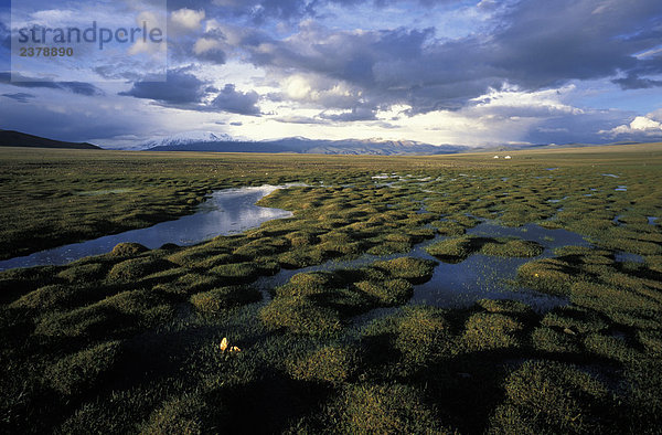 Mongolei  Mt Altai Region