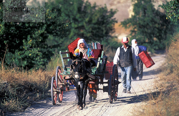 Türkei  Cappadocia  Dorf Cavusin